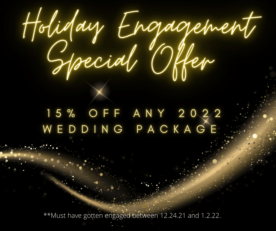 holiday Engagement Offer